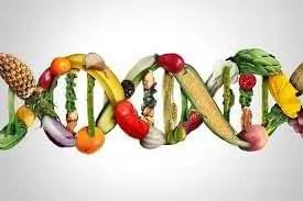DNA double helix made of fruits and vegetables on a white background